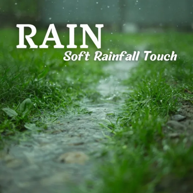 Rain: Soft Rainfall Touch