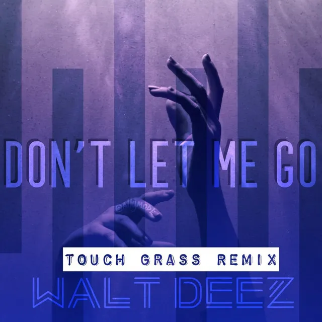 Dont Let Me Go - Touch Grass Remix