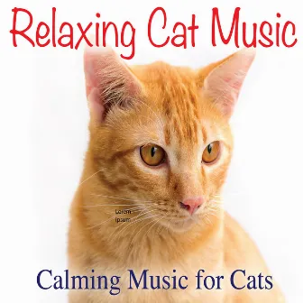 Relaxing Cat Music: Calming Music for Cats by Jay Oliver