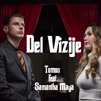 Del vizije by Tomos