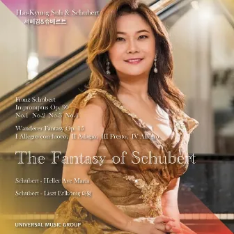 The Fantasy of Schubert by Hai-Kyung Suh