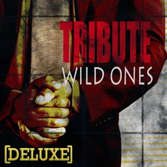 Wild Ones (Flo Rida feat. Sia Deluxe Tribute) by The Singles