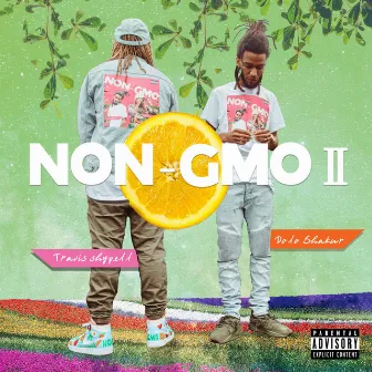 NON GMO II by Travis Shypell