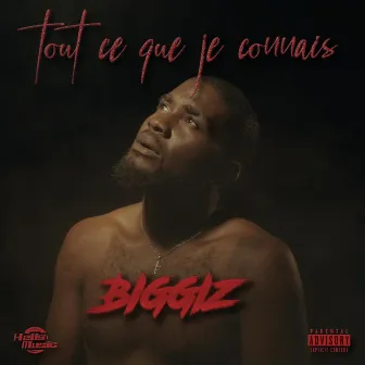 TOUT CE QUE JE CONNAIS by BIGGIZ