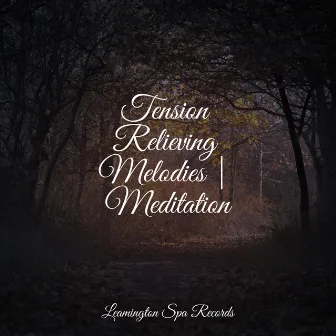 Tension Relieving Melodies | Meditation by Smart Baby Lullaby