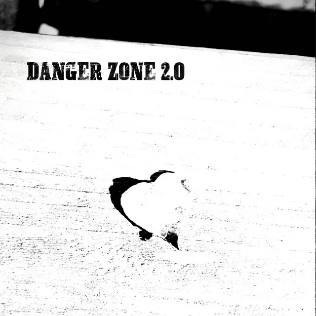 Danger Zone 2.0