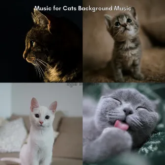 Bgm for Cats by Music for Cats Background Music