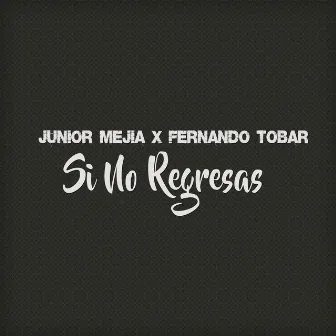 Si No Regresas by Junior Mejia