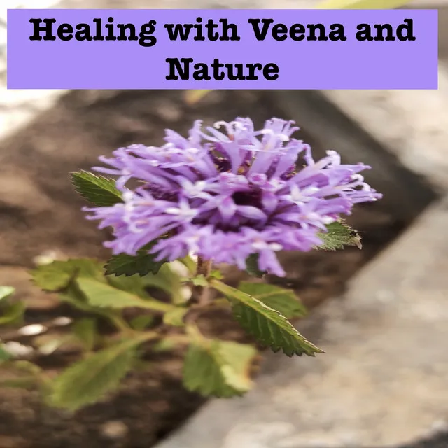 Healing with Veena and Nature