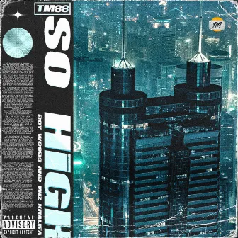 So High by Tm88