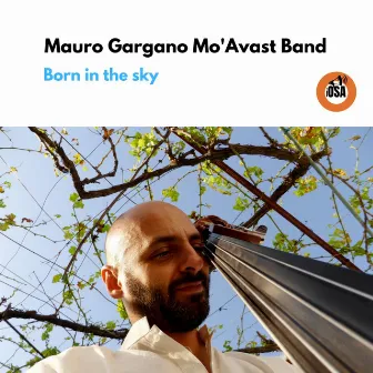 Born in the Sky by Mauro Gargano