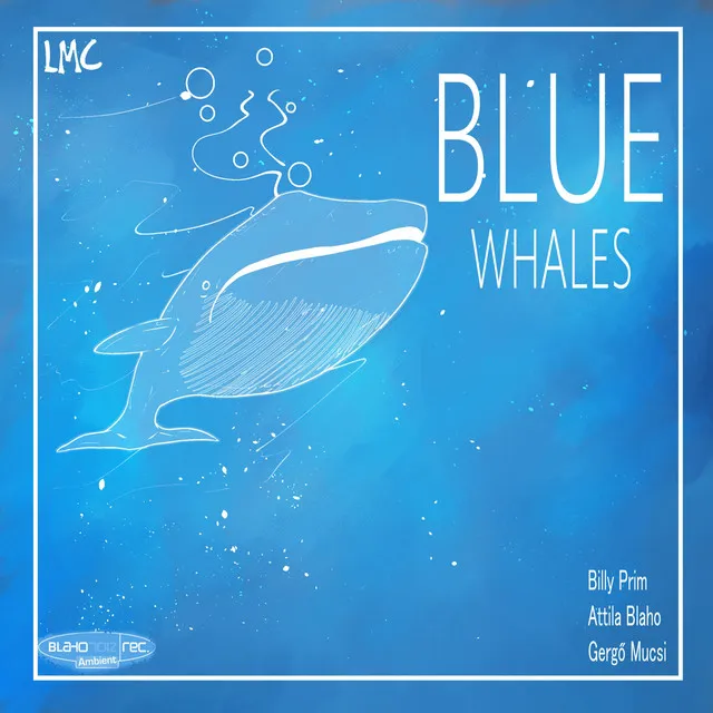 Blue Whales