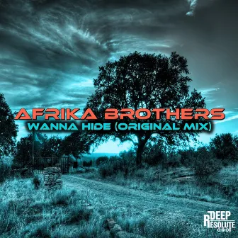 Wanna Hide by Afrika Brothers