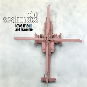 Love Me And Leave Me by The Seahorses