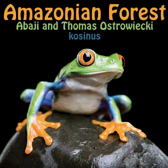 Amazonian Forest by Thomas Ostrowiecki