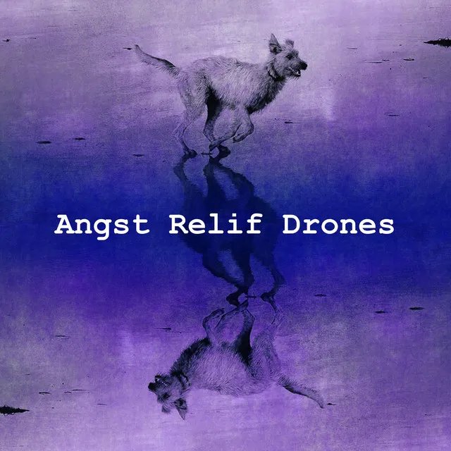 Angst Relif Drones