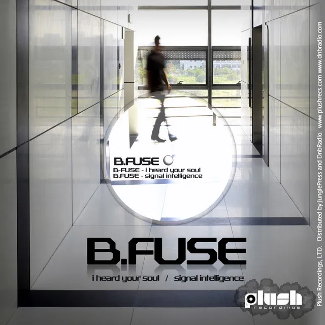 B Fuse