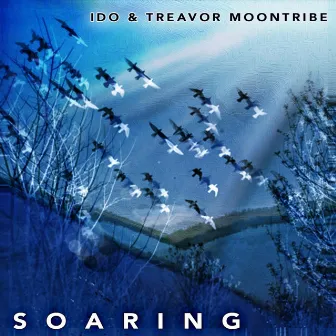 Soaring by Treavor Moontribe