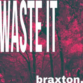 waste it by braxton.