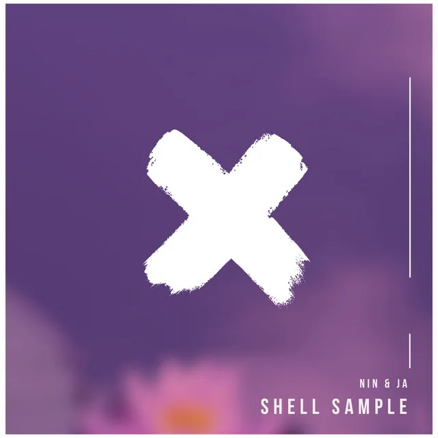 Shell - Alan de Laniere Melodic Mix