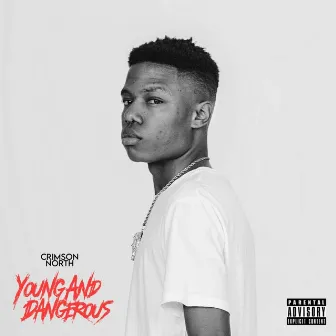 Young & Dangerous by Crimson North