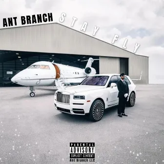 Stay Fly by Ant Branch