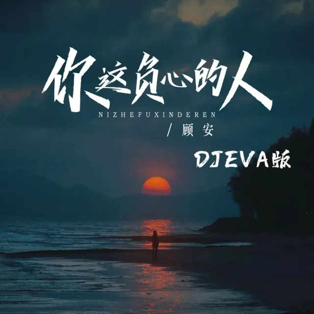 你这负心的人 - DJ Eva版伴奏