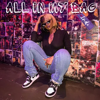 All In My Bag (Radio Edit) by INDI-GO