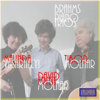 Brahms Piano Trios by David Ernst Molnar