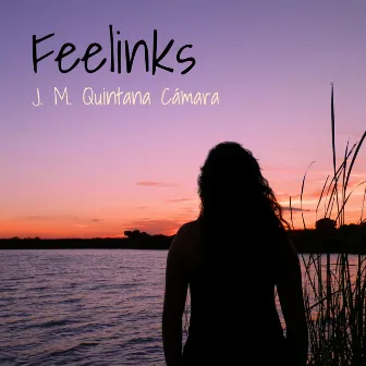 Feelinks by J. M. Quintana Cámara