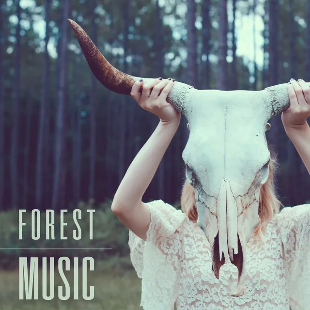 Forest Music – Natural Sounds, Birds Music, New Age Relaxation, Silent Melodies