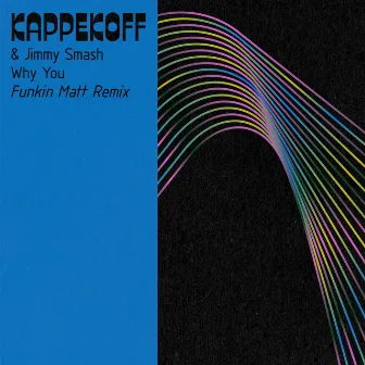 Why You (Funkin Matt Remix) by Kappekoff