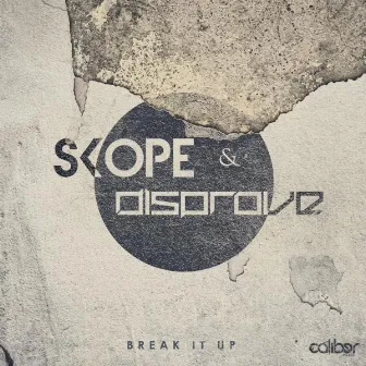 Break It Up EP by Disprove