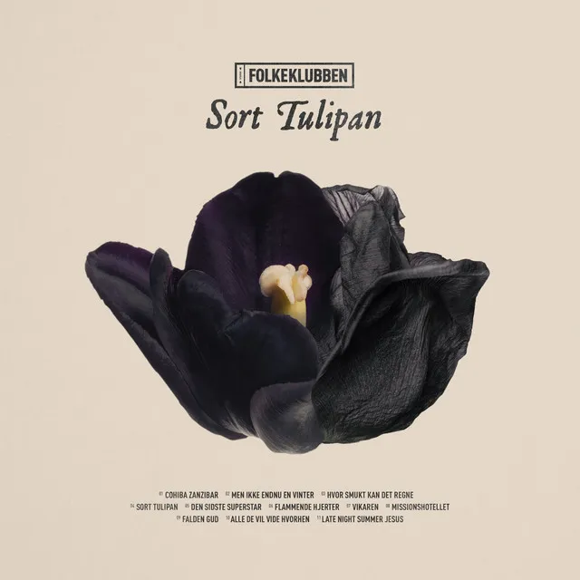 Sort Tulipan