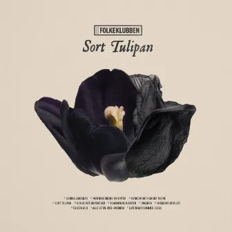 Sort Tulipan by Folkeklubben