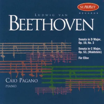 Beethoven by Caio Pagano