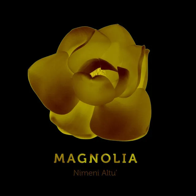 Magnolia