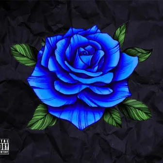 Blue Rose by Jaasim