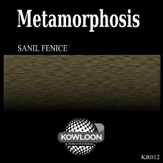 Metamorphosis by Sanil Fenice