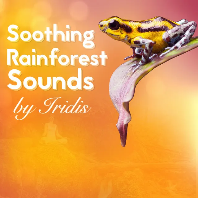 Soothing Rainforest Sounds