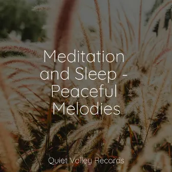 Meditation and Sleep - Peaceful Melodies by Crying & Colic Relief