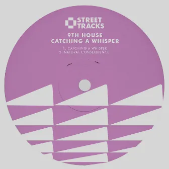 Catching a Whisper by 9th House