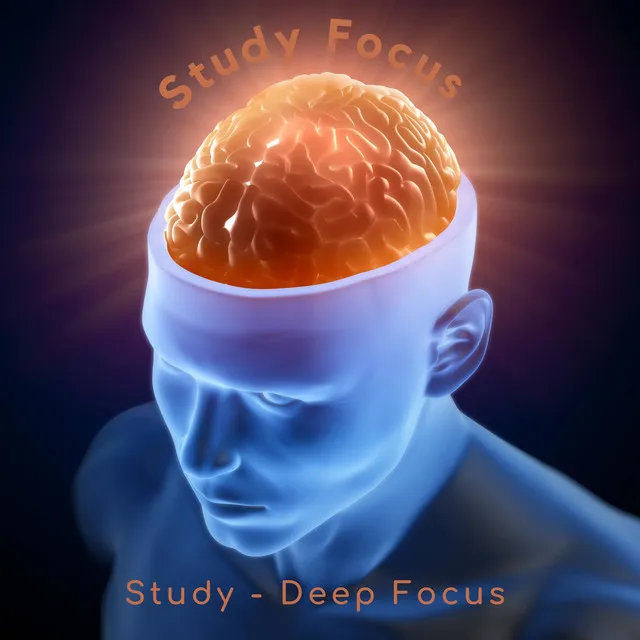 Study Focus