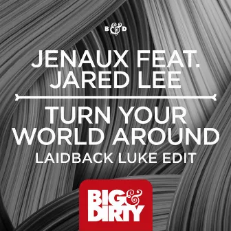 Turn Your World Around (Laidback Luke Edit) by Jenaux