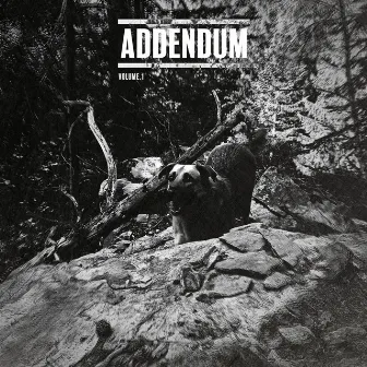 Addendum vol.1 by EEST