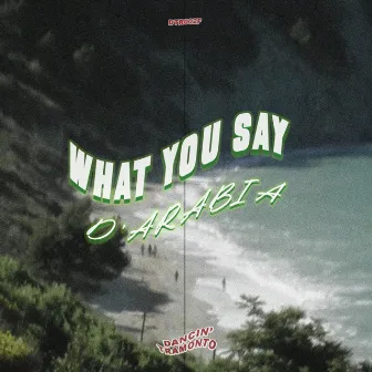 What You Say by D'Arabia