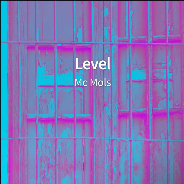 Level