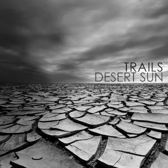 Desert Sun by Trails