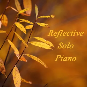 Reflective Solo Piano by Calming Music Academy