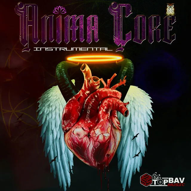 ANIMA CORE